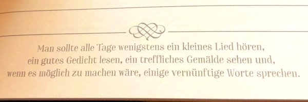 rebbybeere Profile Banner