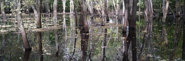 ericnost Profile Banner