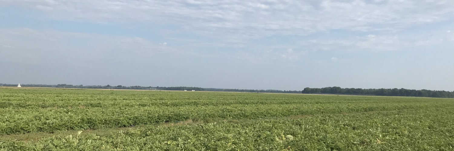 jmweathington's profile banner image