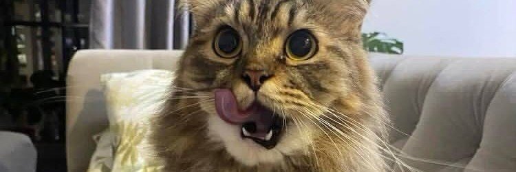 sandranagaa's profile banner image