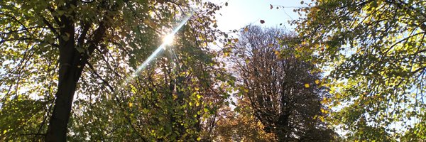 TERendle Profile Banner