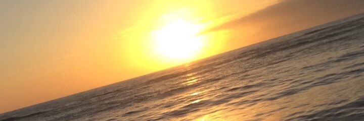 robertocsf's profile banner image