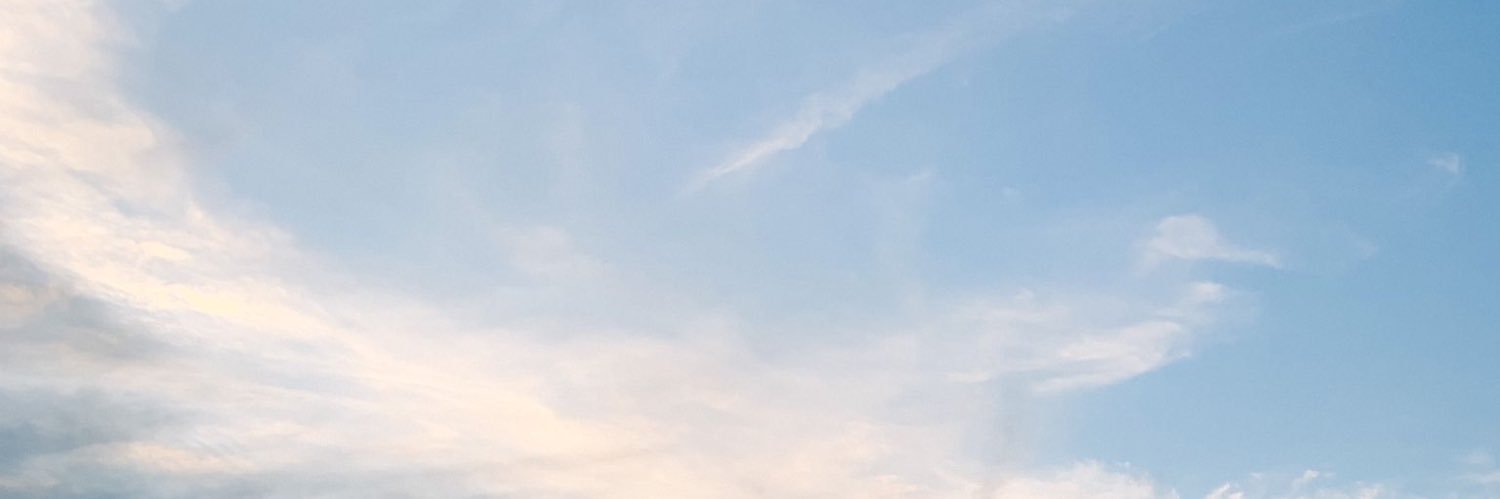 SarahIsWishing's profile banner image