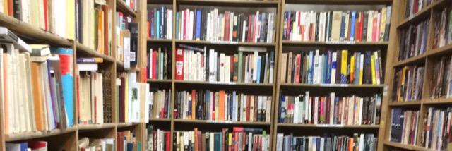 okay (they/them) 🐀🇵🇸 banner