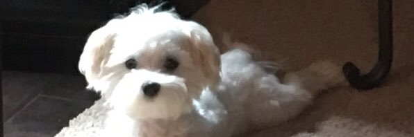 Materva Goya 🇵🇦 banner