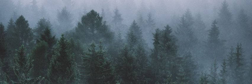 Jess 🩵 banner