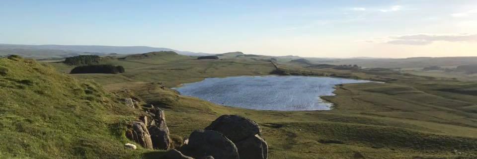 Tom Fowler (he/him) banner