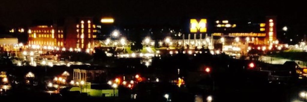 @michaelbeaton.bsky.so . . . 〽️GO BLUE! banner