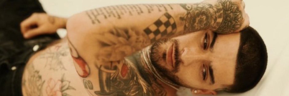 cherryzarry__'s profile banner image