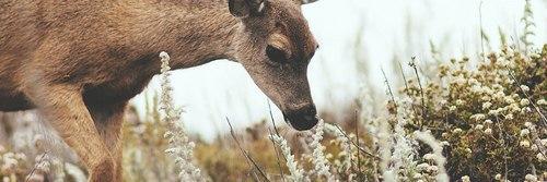 DOBRA_FOR_YOU's profile banner image