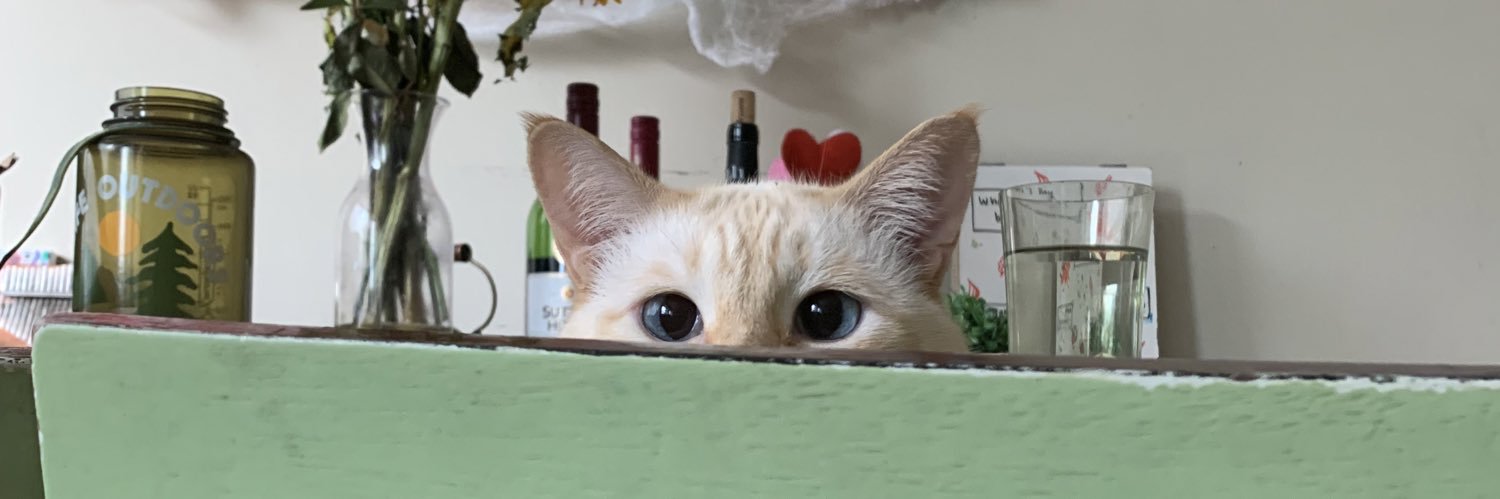 MacyRem's profile banner image