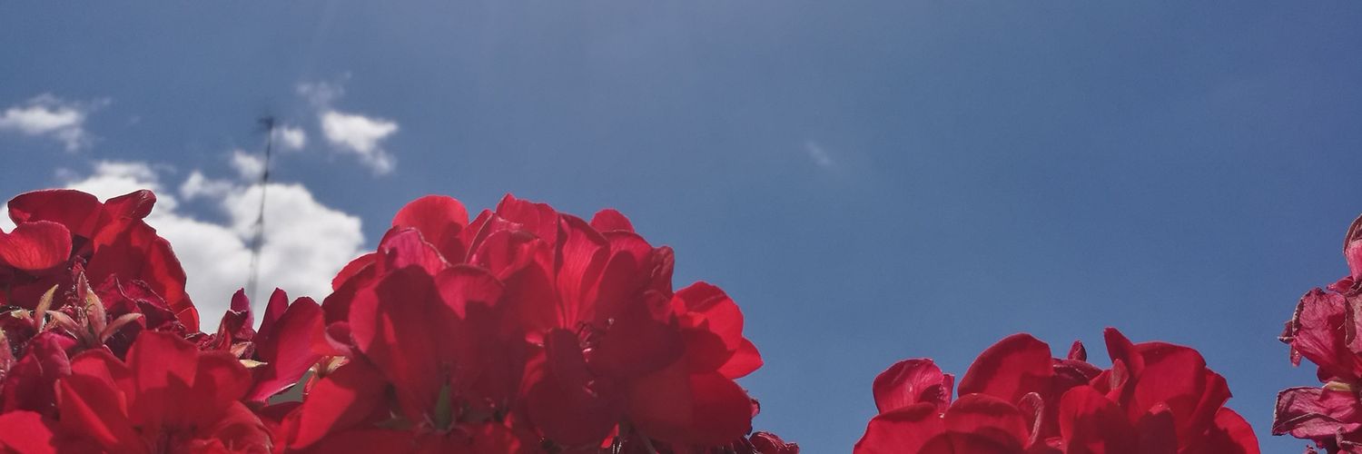 cecijex15's profile banner image