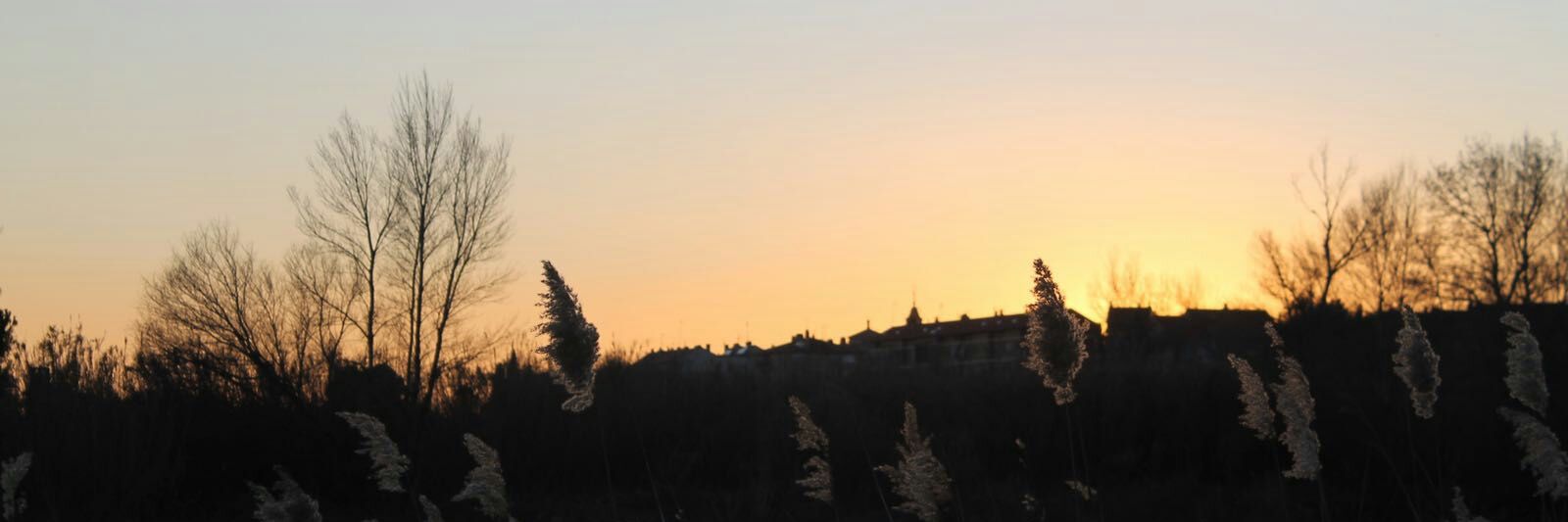 beln_97's profile banner image