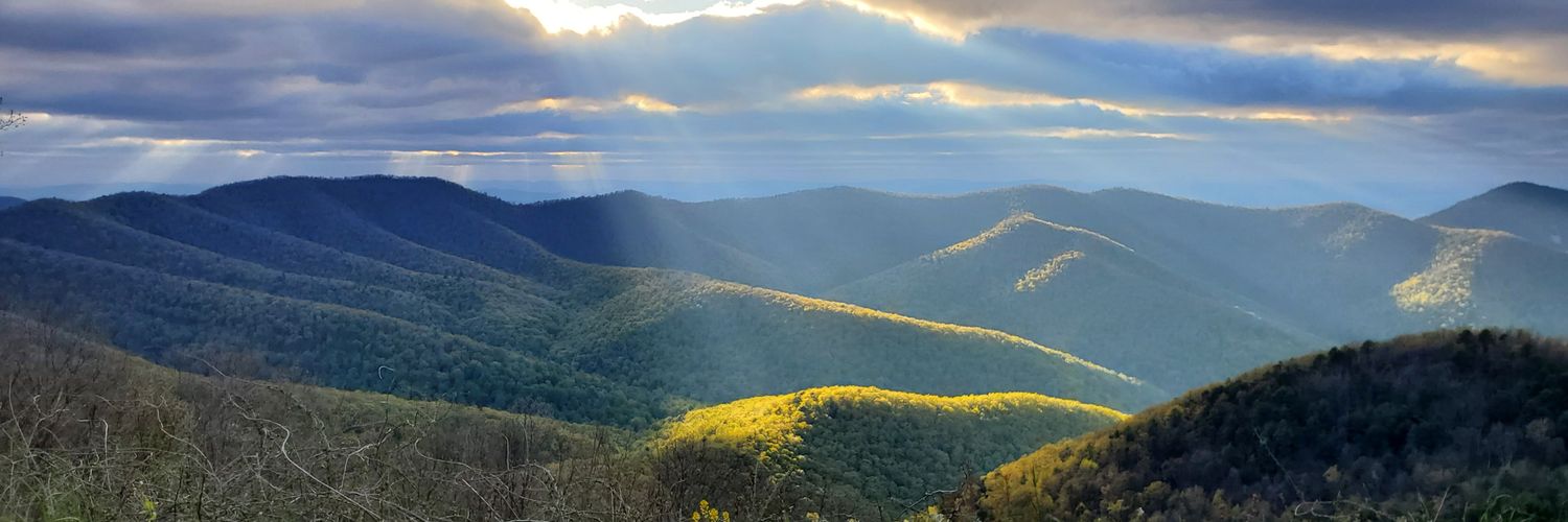 Matt Richardson banner