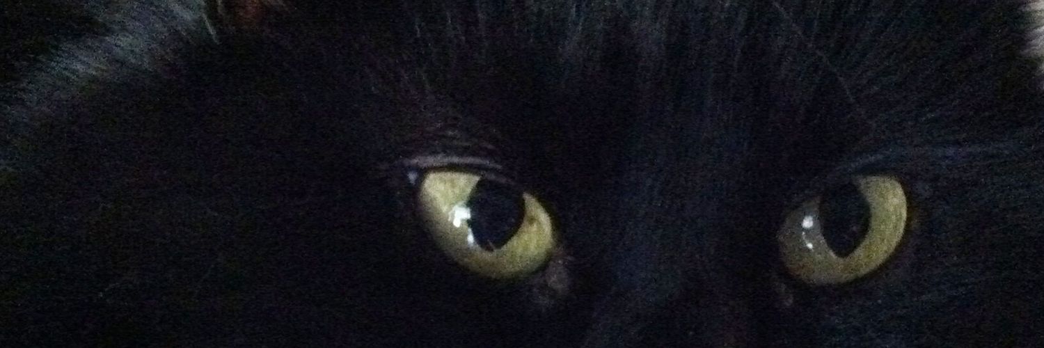 beanie4u's profile banner image