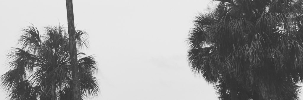 cardichri's profile banner image