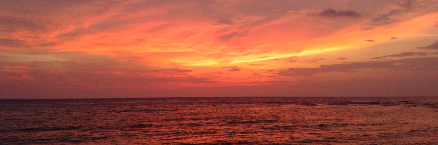 marianpstrfide's profile banner image