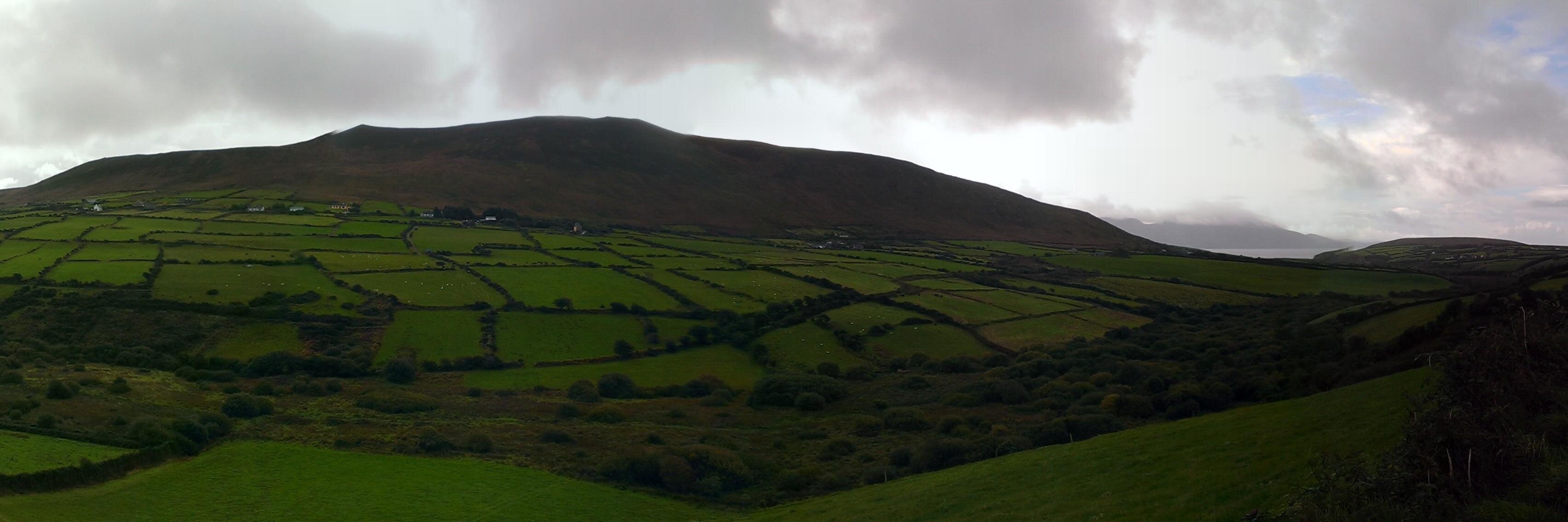 Robert Collins banner