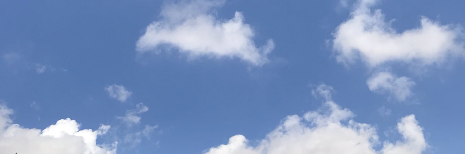 MelanySolisG's profile banner image