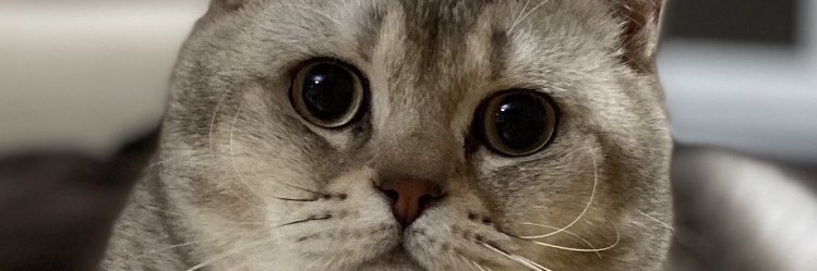AnlCanbay's profile banner image