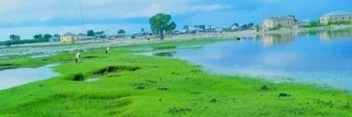 Mohamedkafi Abukar 🇸🇴 banner