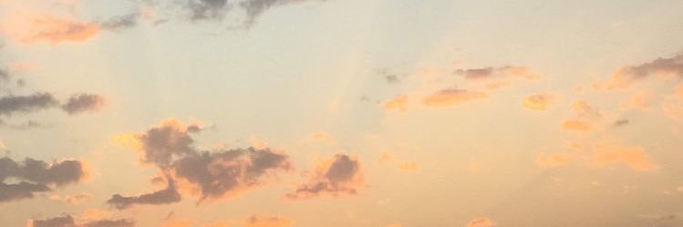 2o2o0o's profile banner image