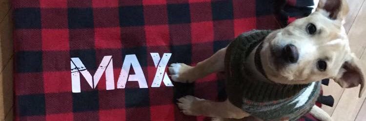 Erin_Swaggert's profile banner image