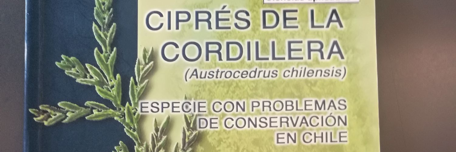 libocedrus's profile banner image