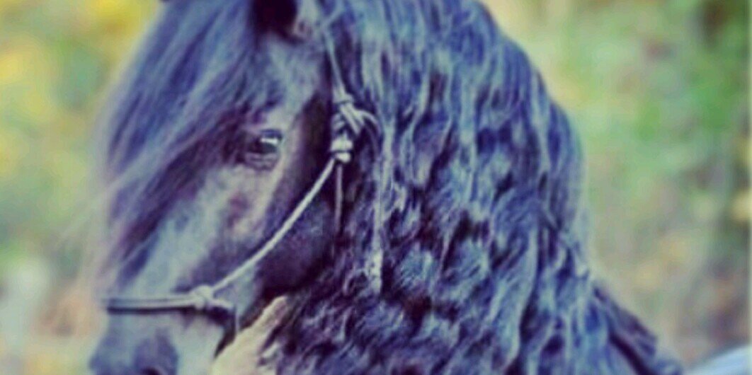 o_amnah's profile banner image