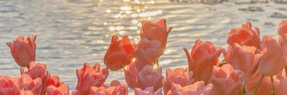 j_zamil's profile banner image
