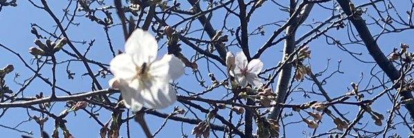 AOGAME Profile Banner