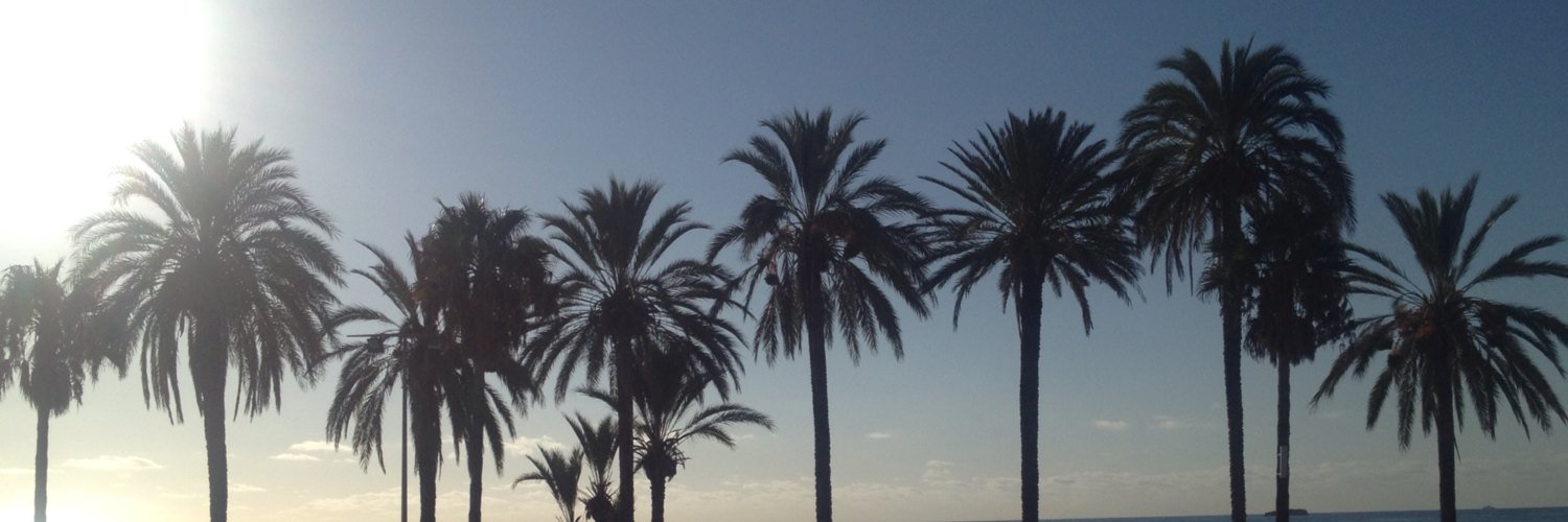 lvgibson1's profile banner image