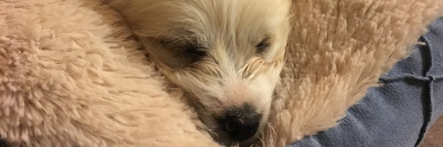 IvanFelix96's profile banner image
