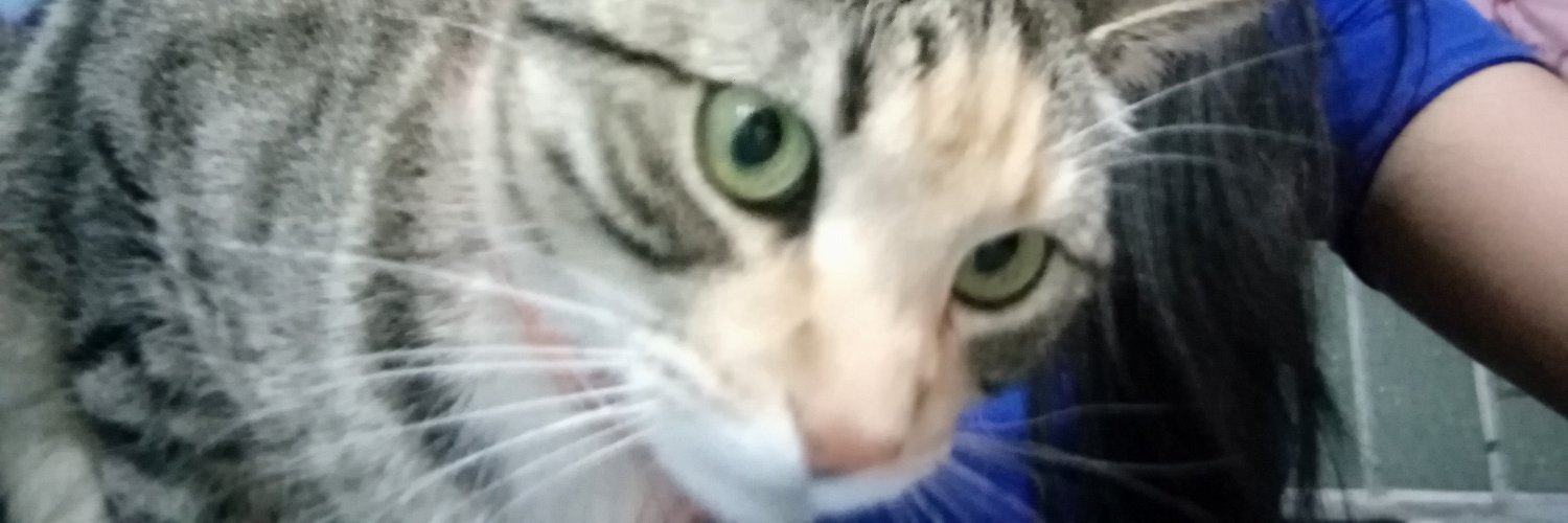 ana5_d's profile banner image