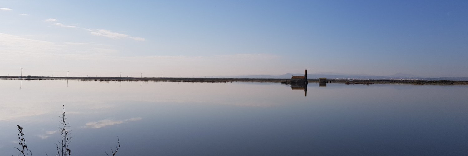 Pilar de la Torre Fornés banner