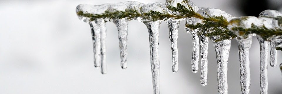 olydix's profile banner image