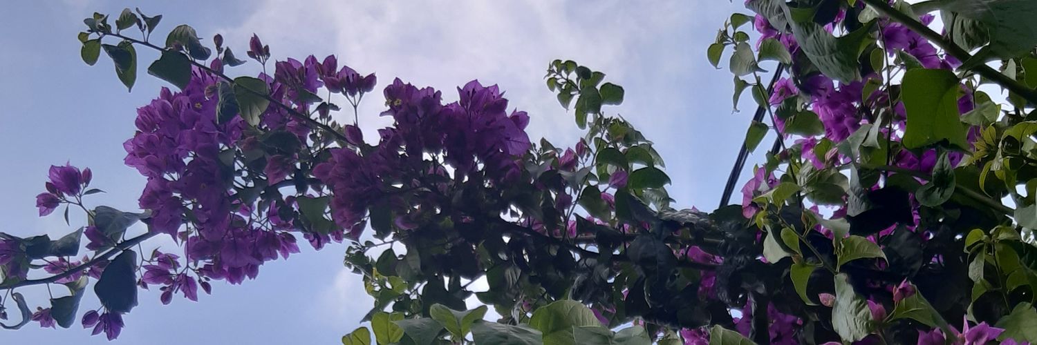 inhestionable's profile banner image