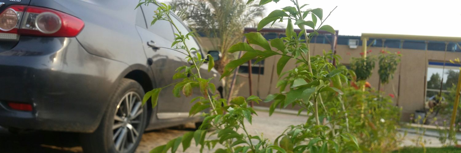 mr_rooodi's profile banner image