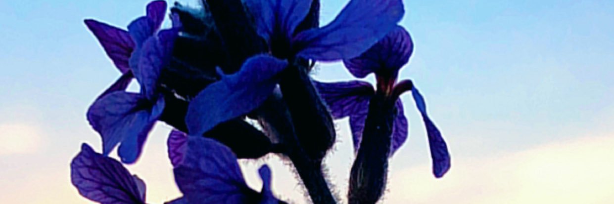hmdan3344's profile banner image