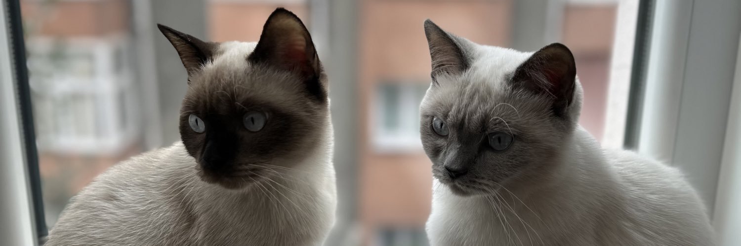 dryyvs_'s profile banner image