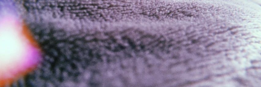 SenraDreams's profile banner image