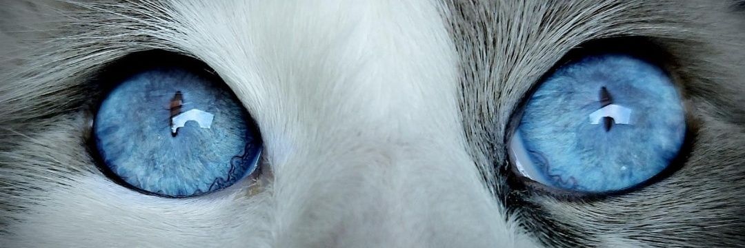 danielletatlock's profile banner image
