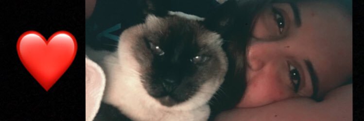 MarFi298's profile banner image