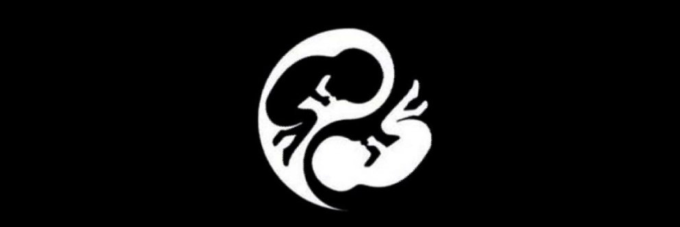 Ailo98's profile banner image
