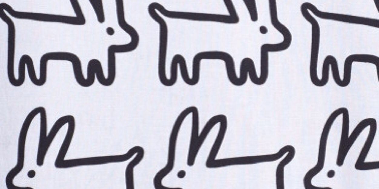bunnyshirtboy's profile banner image