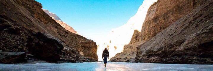 Paritosh Reddy banner