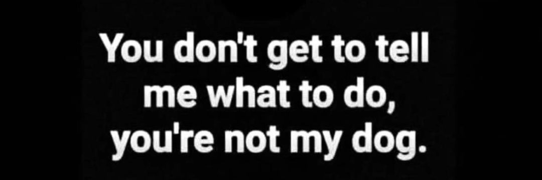 Wilfus (Paul Gun) 💙 banner