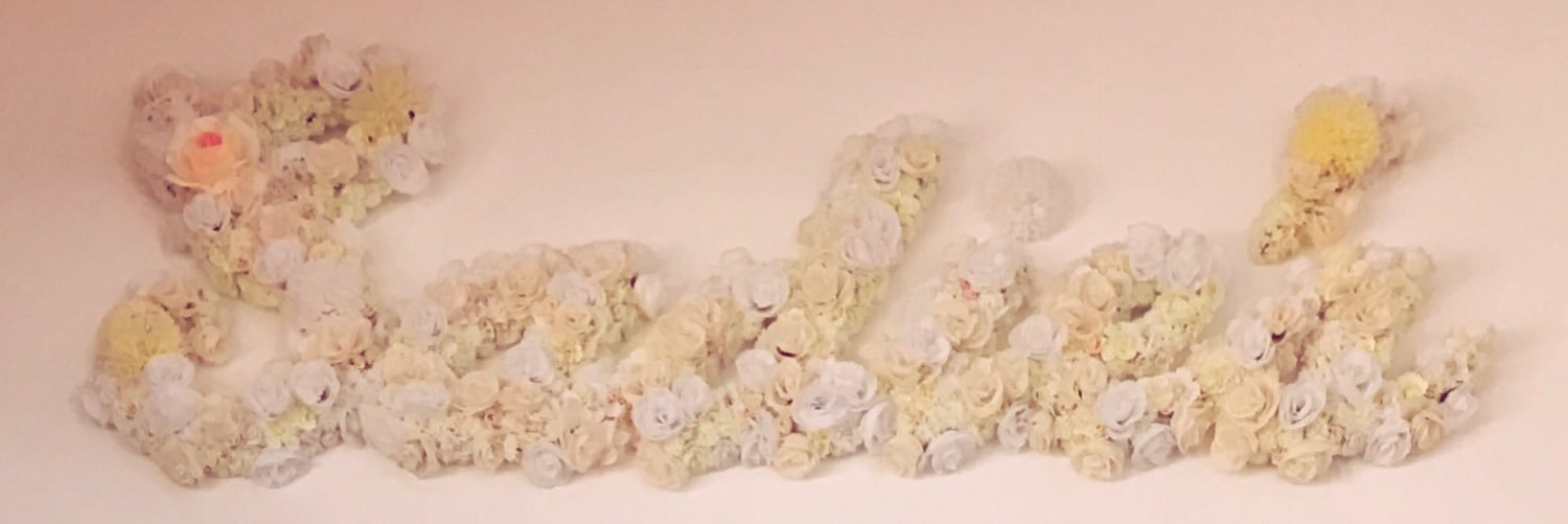 SadiesFit's profile banner image