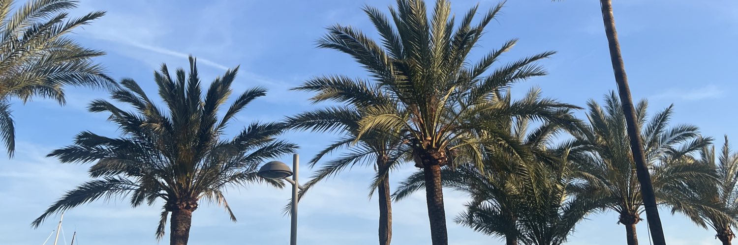 LibbyPipe_'s profile banner image
