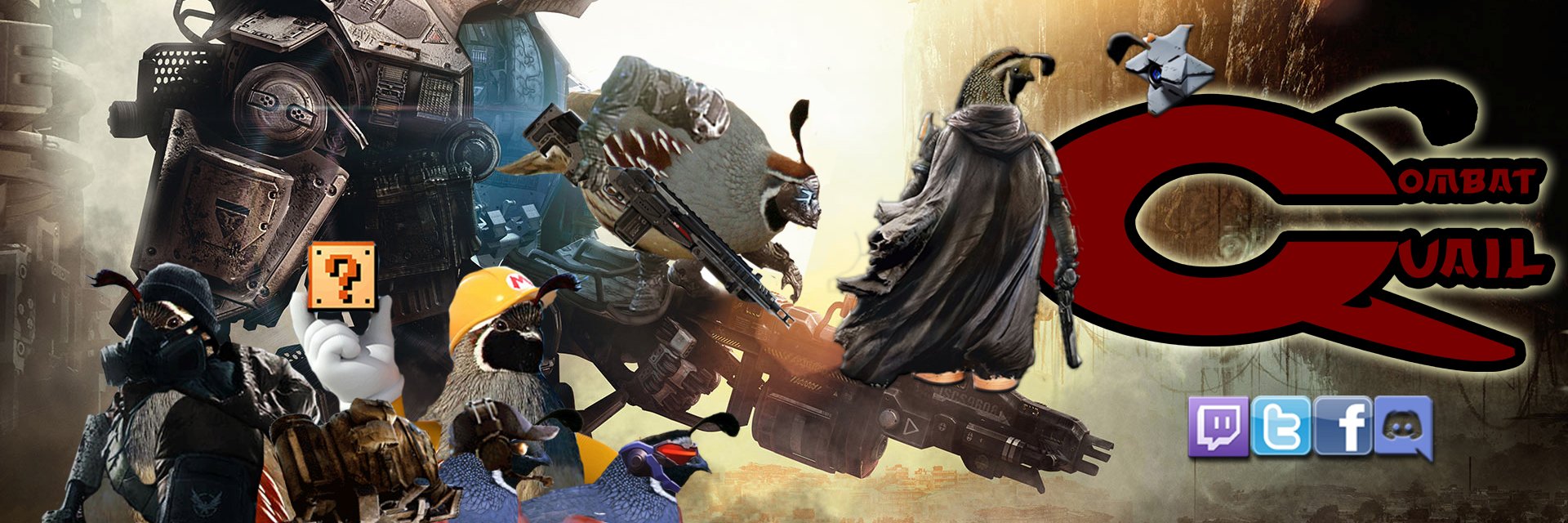 CombatQuail's profile banner image